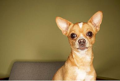 经典大富翁游戏《富甲天下3》登陆Steam 2023年1月9日发售